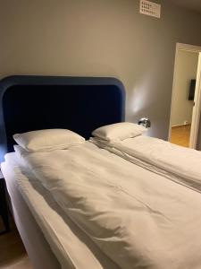 Downtown Apartment - THE VIEW