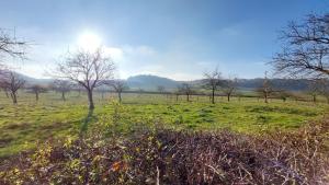 Bed & Breakfast Hotel Het Gerendal