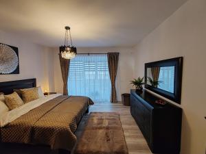 Apartment in the city center