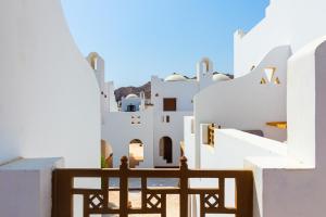 Daniela Diving Resort Dahab