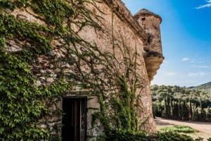 Barri de Puig Roig, 31, 17256 Pals, Girona, Spain.