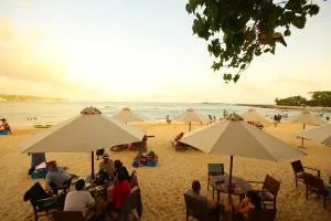 Kingfisher - Unawatuna