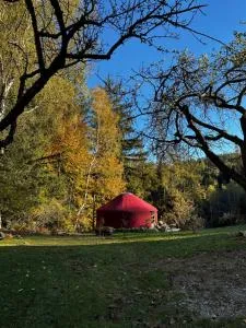 Abgeschiedene Jurte am Berg - Pack