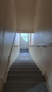 Center Studio Apartamento en el centro de Trelew