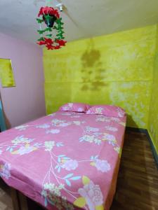 Colourful Homestay