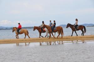 Felix Hotels - Hotel Airone img43