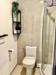 Zielone Apartamenty Katowice Chorzów