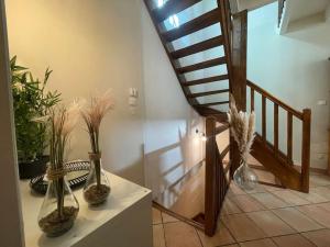 Appartements La Traverse - au pied de la Cite Medievale - Clim et terrasse : photos des chambres