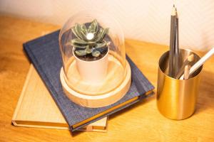 Appartements Nouveau - L'Eclat - Stade Meinau : photos des chambres