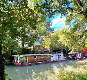Insolite Péniche Amazonie canal du midi