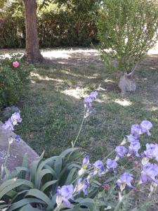 GITE EN PROVENCE