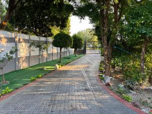 Blue Lantern Bed and Breakfast