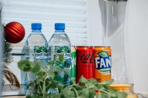 Apartament Koleba przy Krupówkach