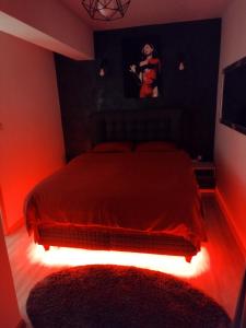 Dream Arena Apartment