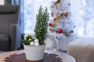 Kodikas paritalohuoneisto