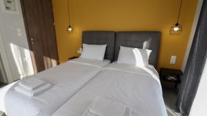 LA CASA DE PROFESOR 4