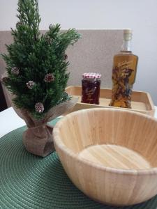 Simic Apartmani Tara