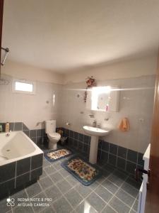 ΕΞΟΧΙΚΟ ΜΑΡΙΑ