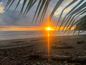 Rinconcito de Paz, Cedral, Pérez Zeledón