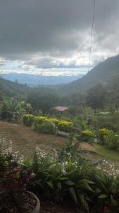 Rinconcito de Paz, Cedral, Pérez Zeledón