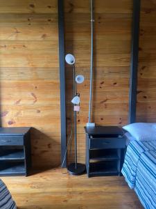 Rinconcito de Paz, Cedral, Pérez Zeledón