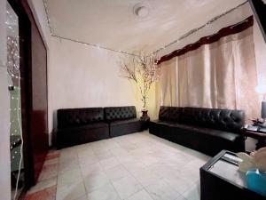Departamento en Roma sur PB