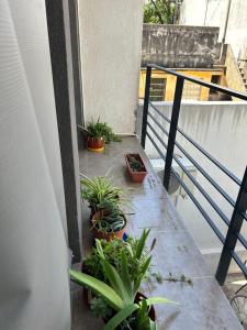 Luminoso Cálido Relajación y Descanso