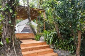 El Yunque Glamping Experience