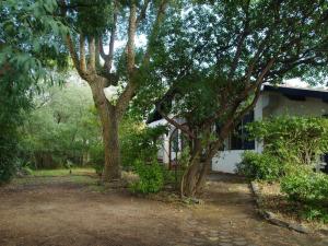 Grande maison landaise près du port de Capbreton, 4 chambres, jardin, animaux admis - FR-1-413-232