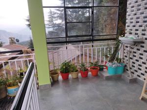 Tree Valley Homestay Chail