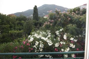 Sappho Studios Lesvos Greece