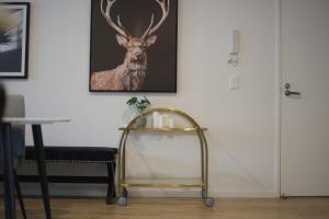 Cozy 3BR Apartment Walking Distance to GOMA