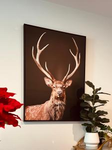 Cozy 3BR Apartment Walking Distance to GOMA