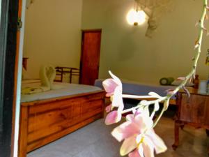 Banana Rest Sigiriya