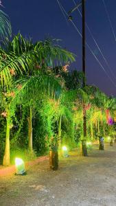 Ashoka Lawns and Resort