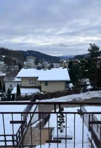 Krynica Zdrój Apartament 4 pokoje - Słotwiny