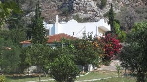 Villa Dunes 350m from the sandy beach