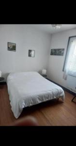 Appartements Appartement Evelyne 4 pers : photos des chambres