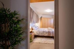 Piano Terra in centro - A due passi da tutto