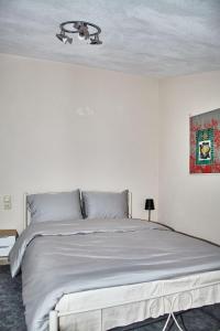 IN THE SHADOW OF THE ROCKS