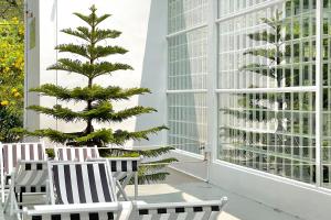 It my life cafe x camp