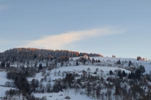 Chalets Chalet Fleur des Vosges 5 Bedrooms : photos des chambres