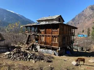 Strictly Forest - Tosh