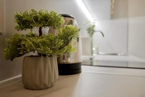 Standard Apartment by Hi5- Király 82