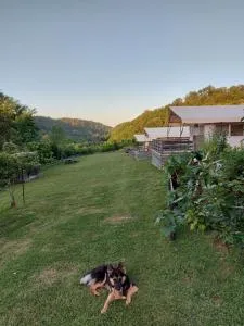 Camping Sretanwolf - Liplje Bosiljevsko