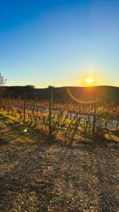 Tenuta Agricola La Cava- Cantina e Agriturismo