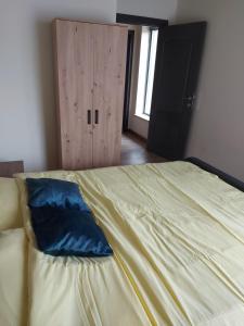 ALEXANDER Ski Lake View