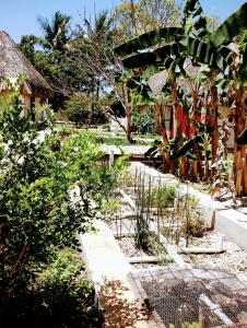 Hotel y Museo Aldea Maya Toktli Orígenes - Suite Casa Maya Del Jabín - Alberca, Wifi Starlink, Tour Museo