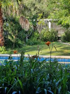 Casa Sustentable Mint Fields