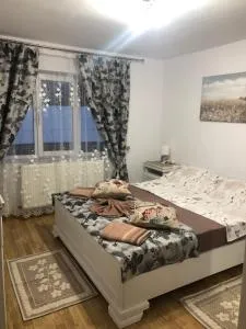 Apartament în regim hotelier familie - Şarul Dornei